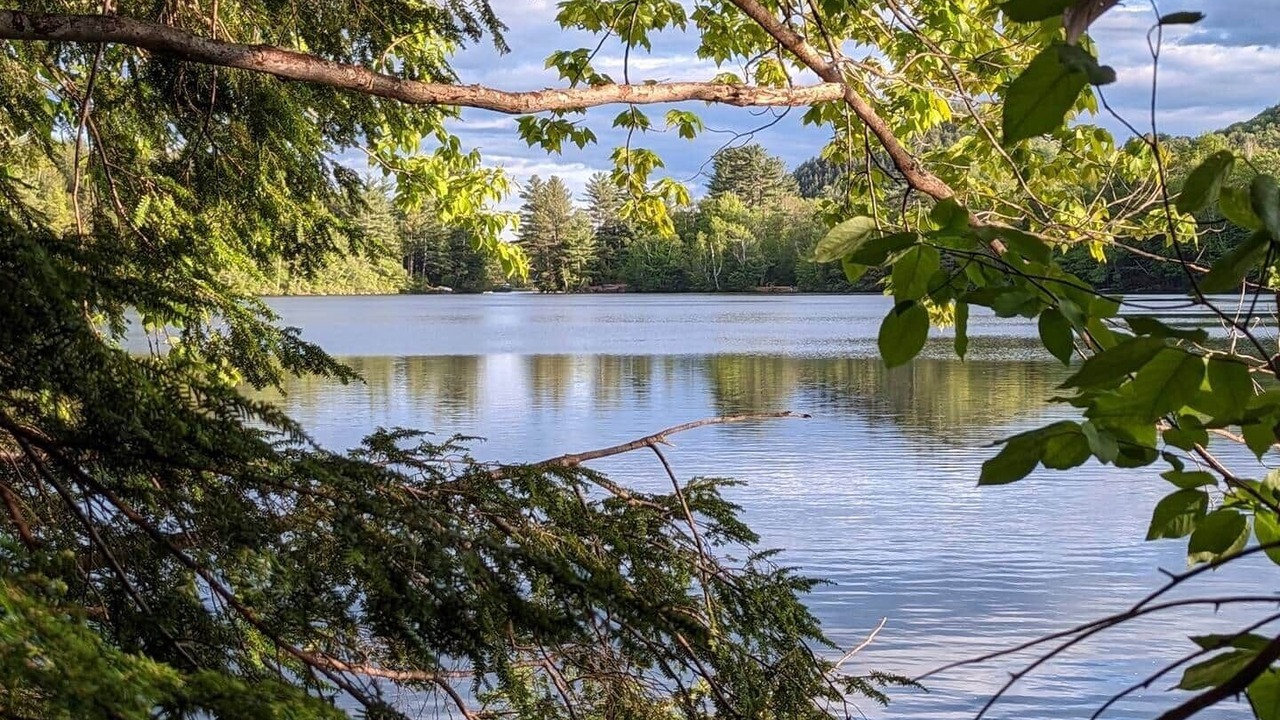 Photo of Others in Woodstock