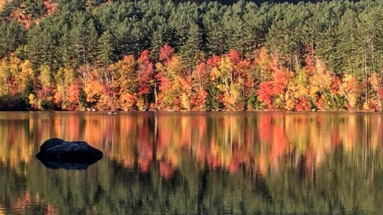 Photo of Others in Woodstock