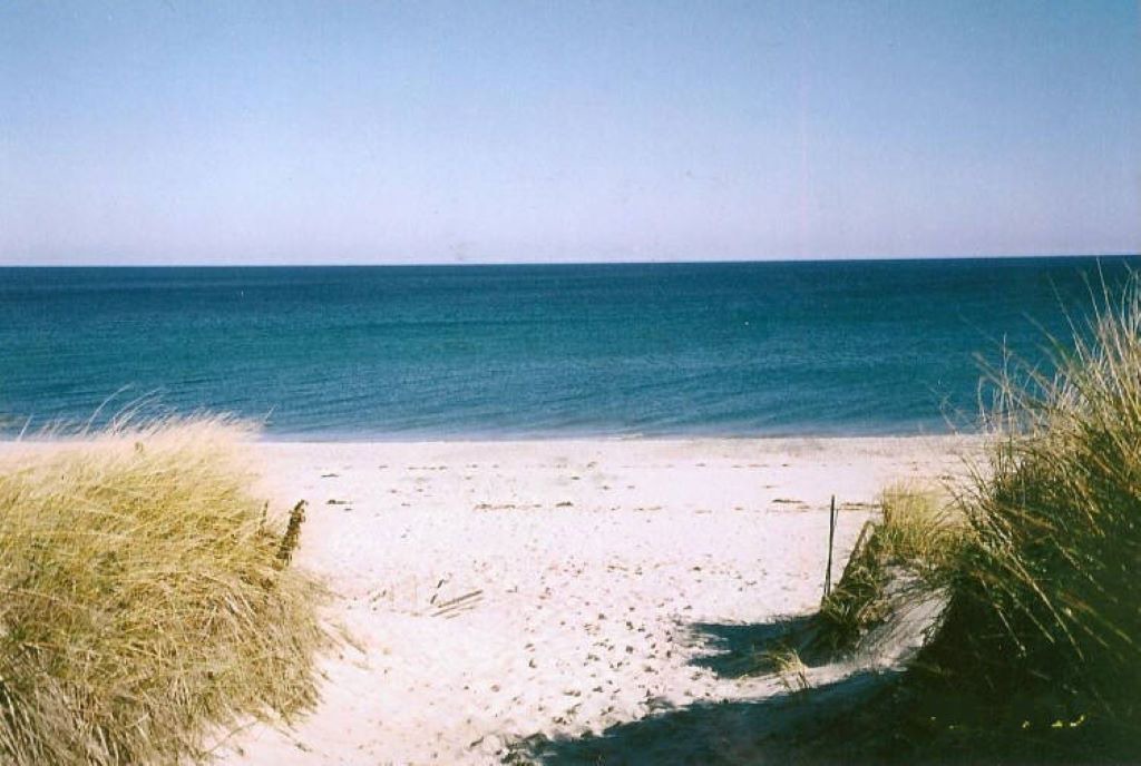 Photo of Others in East Sandwich