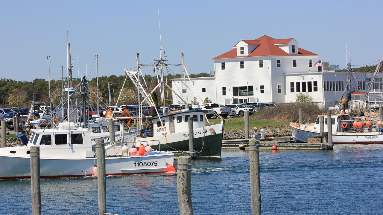 Photo of Others in East Sandwich