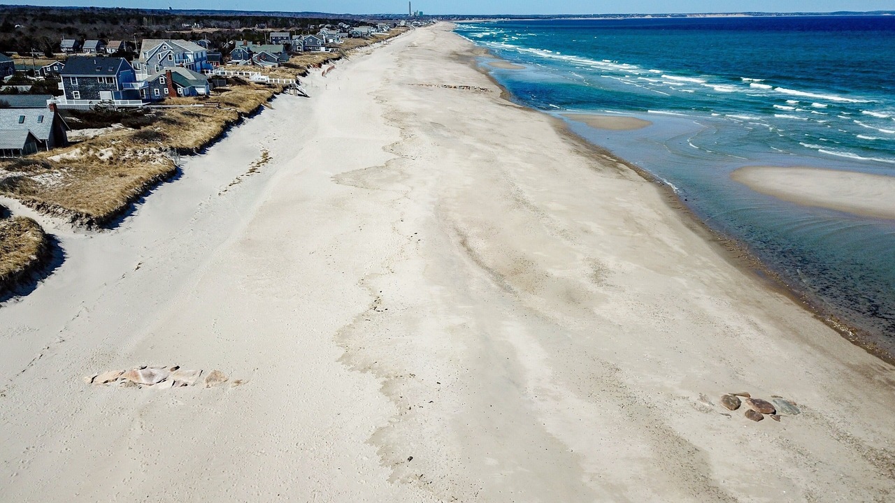 Photo of Others in East Sandwich