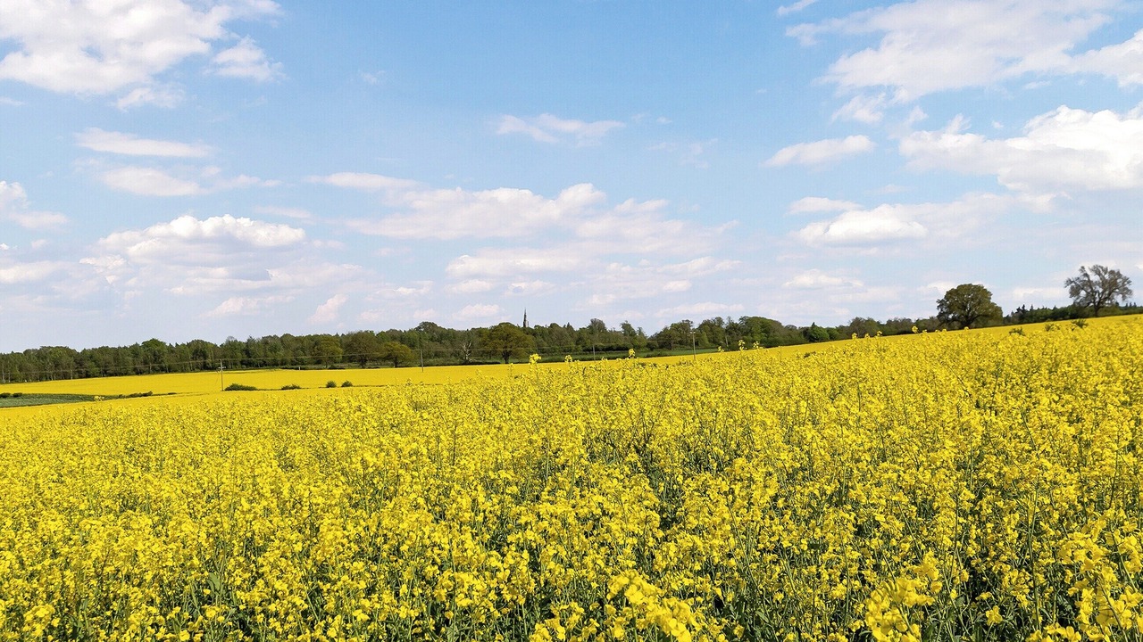 Photo of Others in Grantley