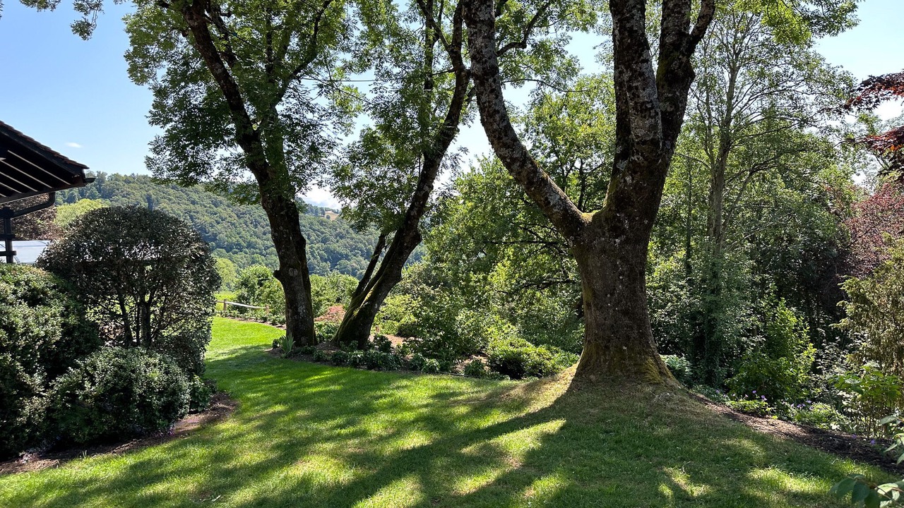 Photo of Outdoor in Bourg-en-Lavaux