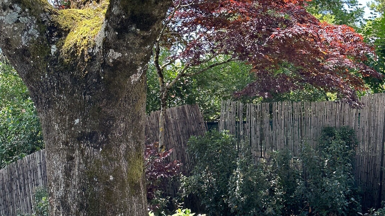 Photo of Outdoor in Bourg-en-Lavaux