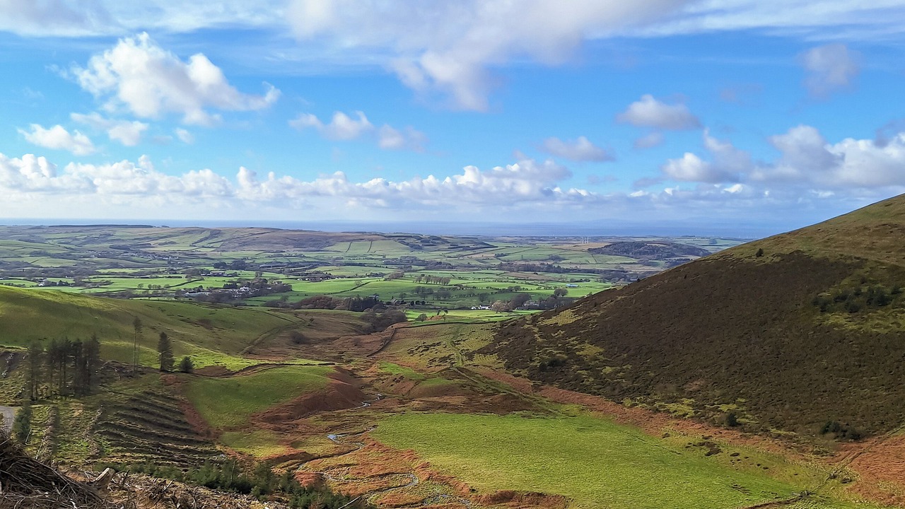 Photo of Others in Workington