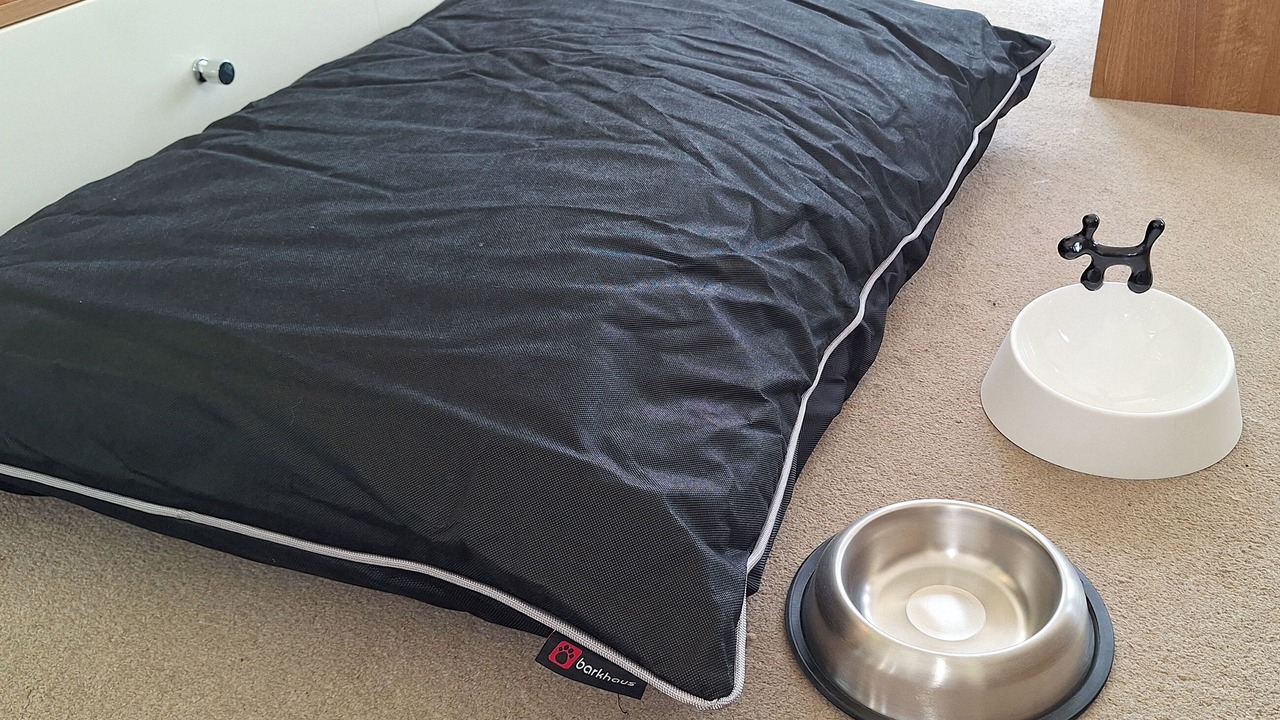 Photo of Others in Workington