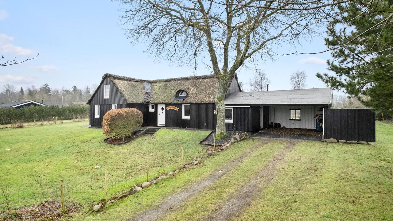 Photo of Others in Ertebølle