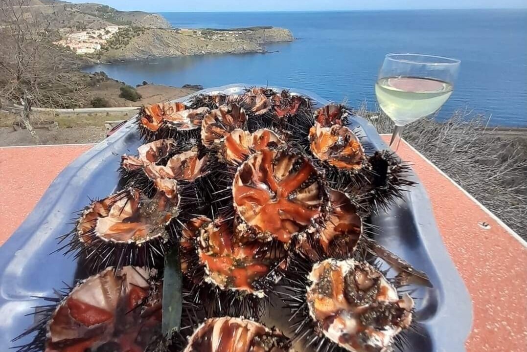 Photo of Others in Cerbere