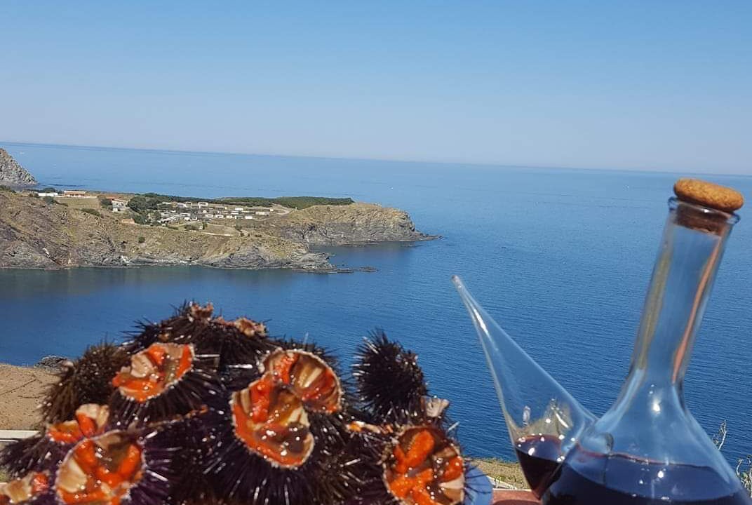 Photo of Others in Cerbere