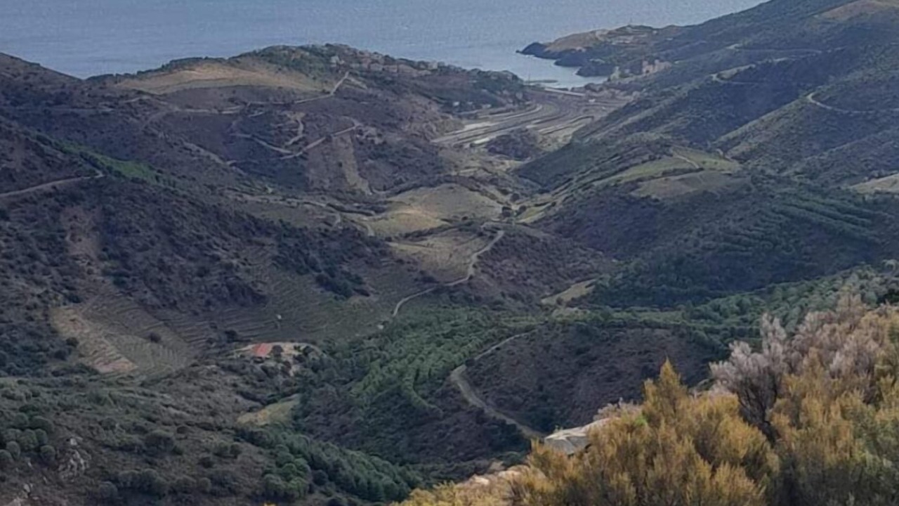 Photo of Others in Cerbere