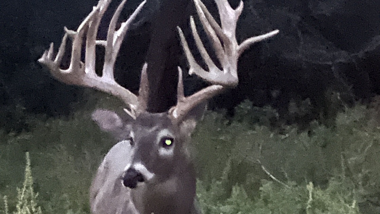 Photo of Others in Willow City