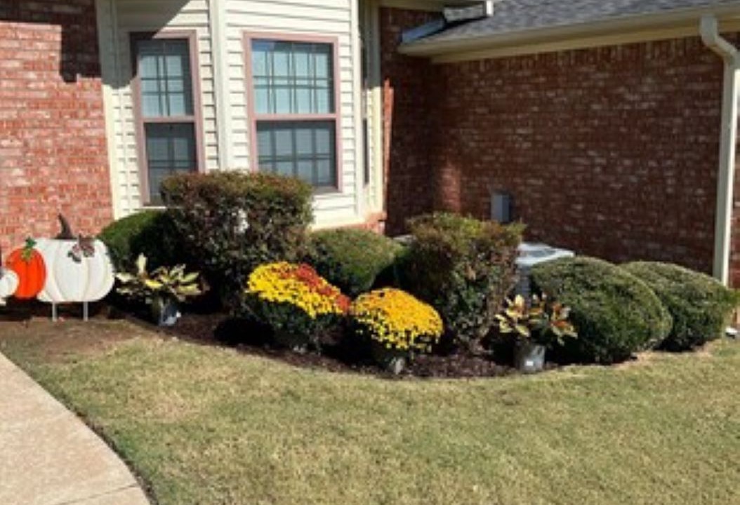 Photo of Outdoor in Russellville