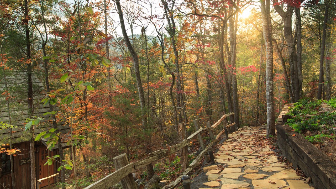 Photo of Outdoor in Townsend