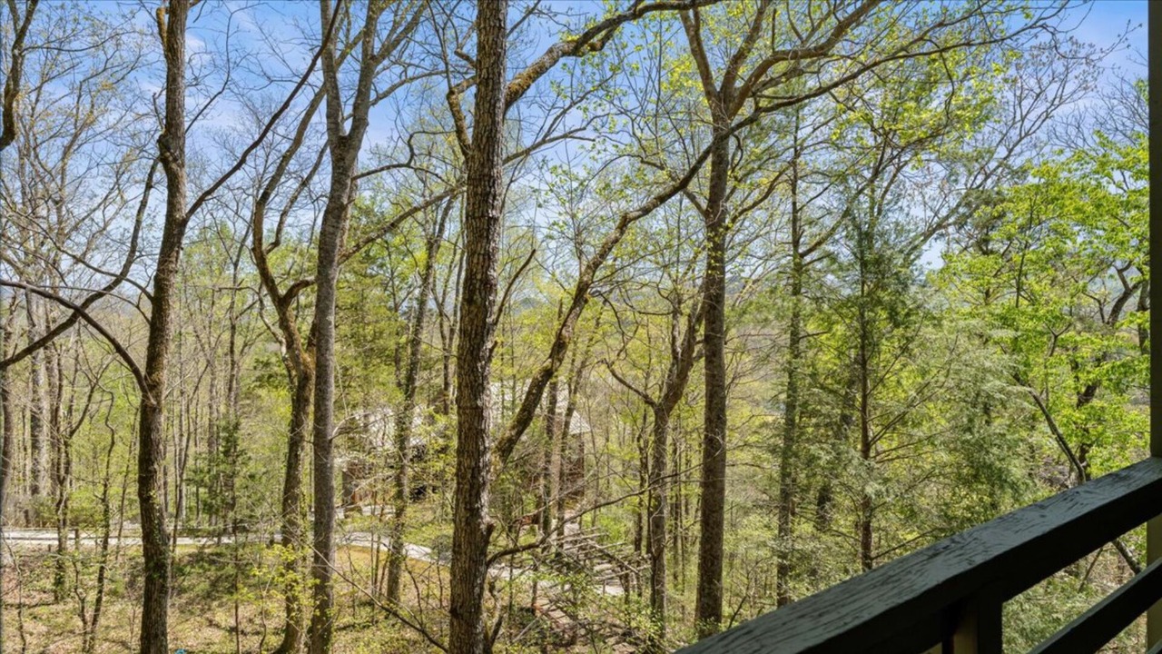 Photo of Others in Townsend