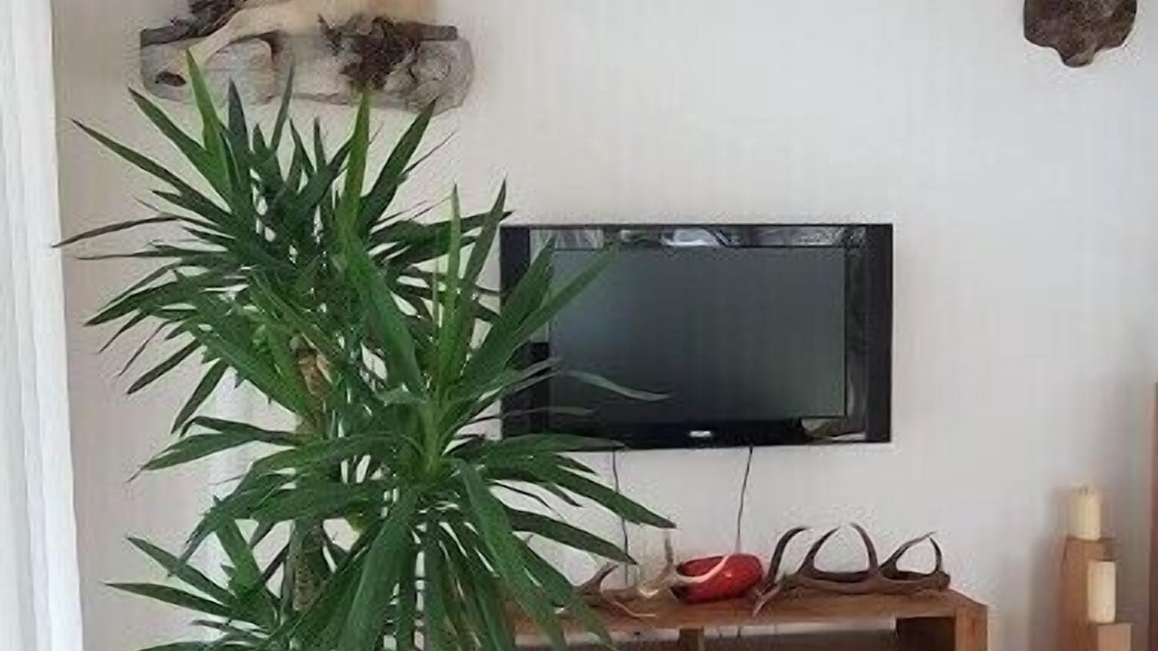Photo of Livingroom in Ems