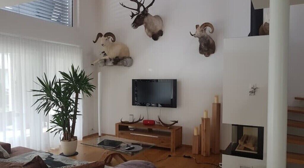 Photo of Livingroom in Ems