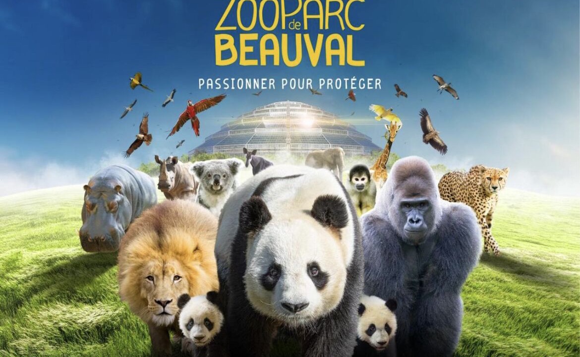 Photo of Others in Seigy