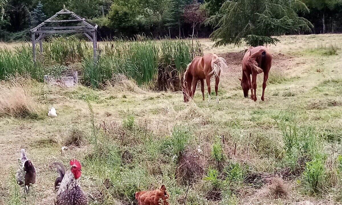 Photo of Outdoor in Amions