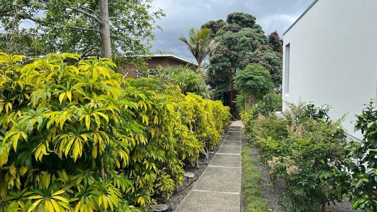 Photo of Outdoor in Takapuna