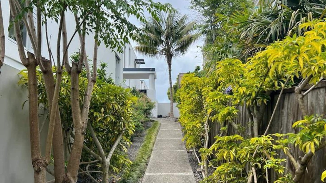 Photo of Others in Takapuna