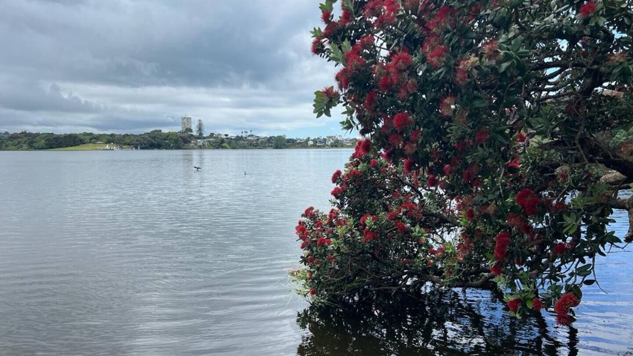 Photo of Outdoor in Takapuna