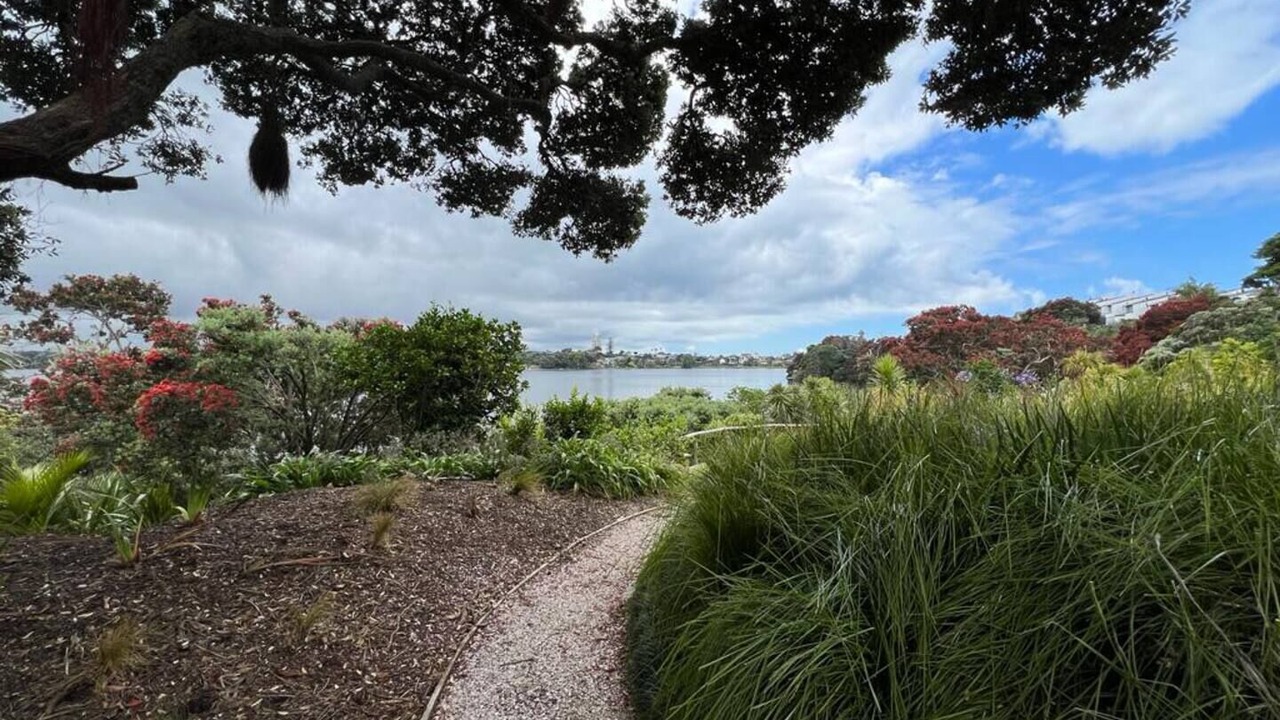 Photo of Others in Takapuna