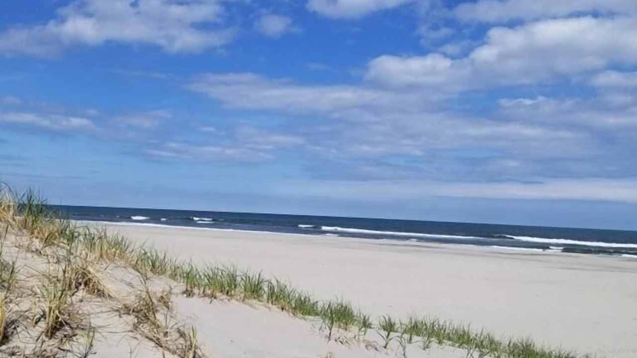 Photo of Others in Sea Isle City