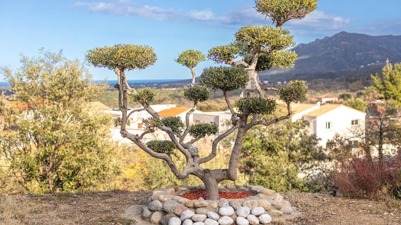 Photo of Outdoor in Villelongue-dels-Monts