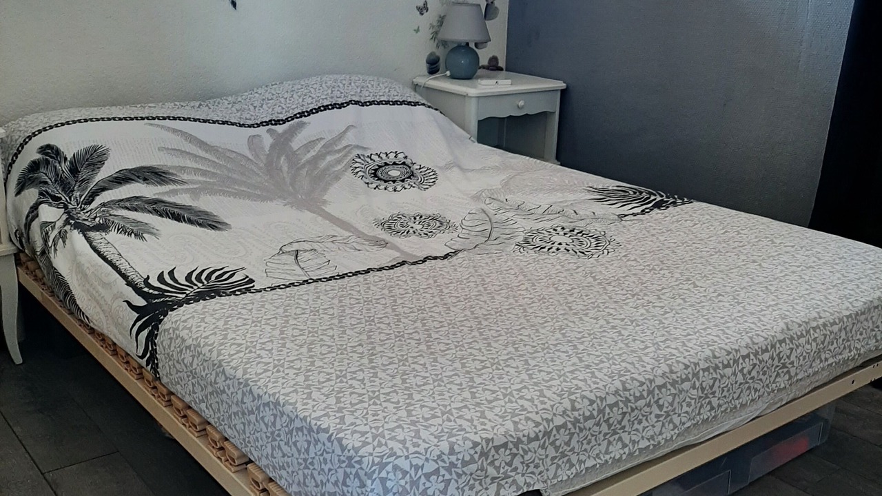 Photo of Bedroom in Saint-Cyprien Plage