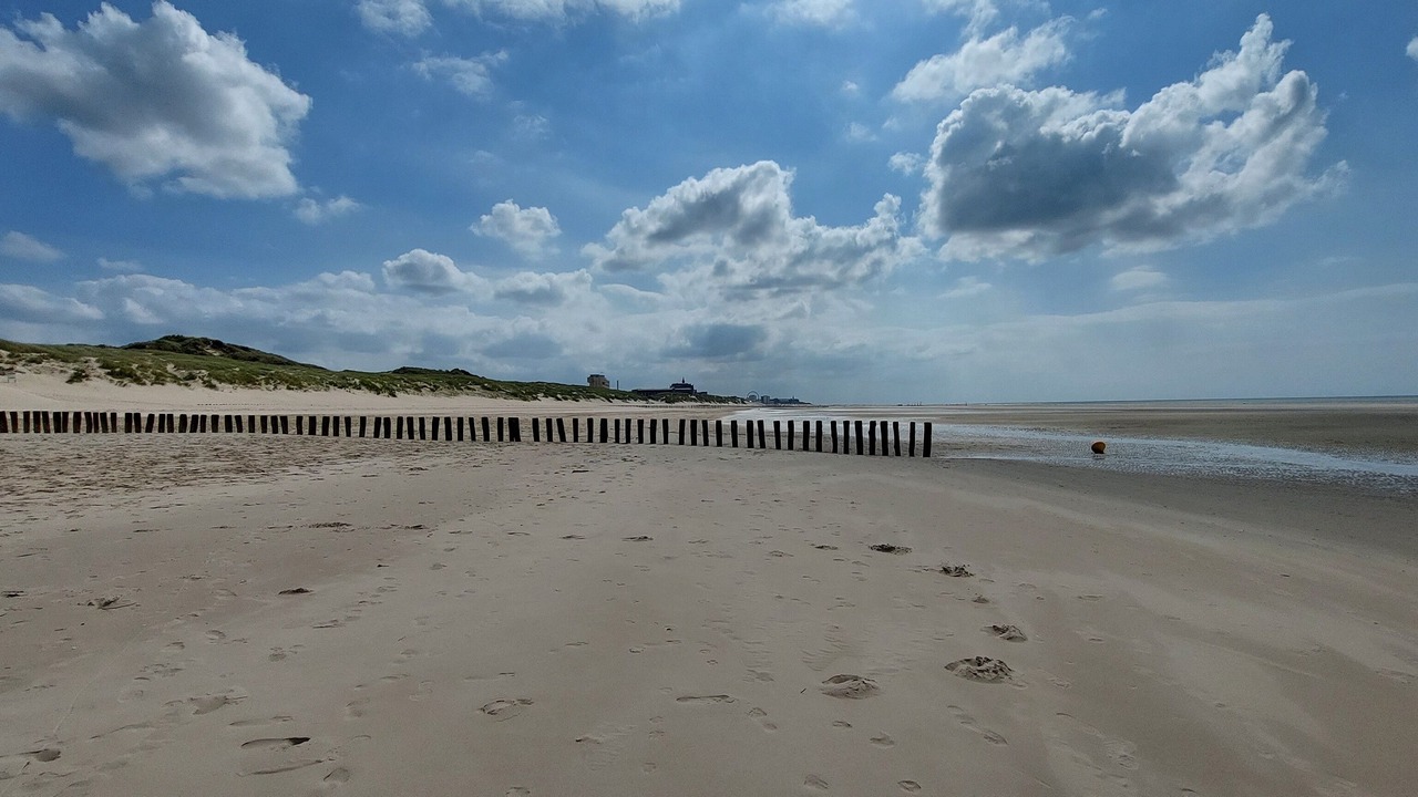 Photo of Others in Berck-sur-Mer