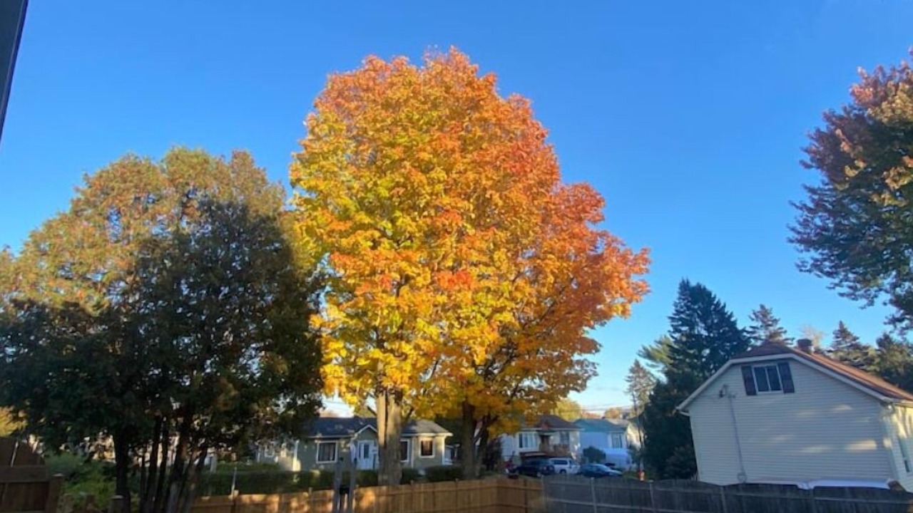 Photo of Outdoor in Deux-Montagnes