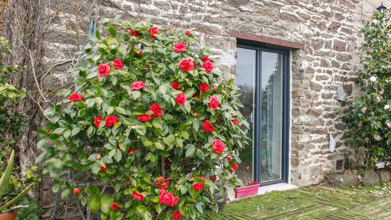 Photo of Outdoor in Langrolay-sur-Rance