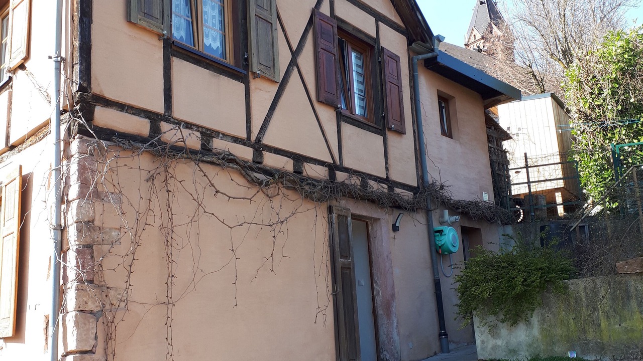 Photo of Outdoor in Buhl