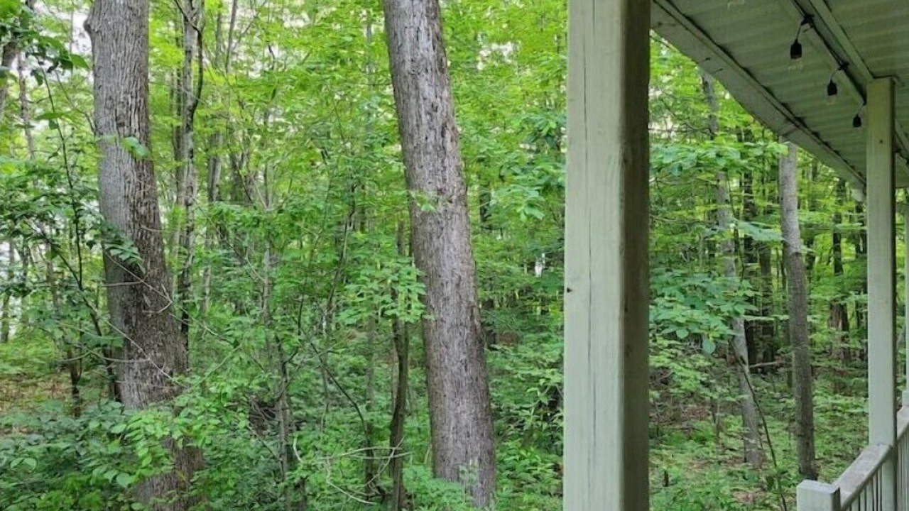 Photo of Outdoor in Evart