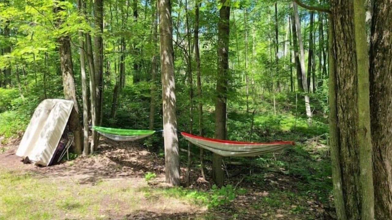 Photo of Outdoor in Evart