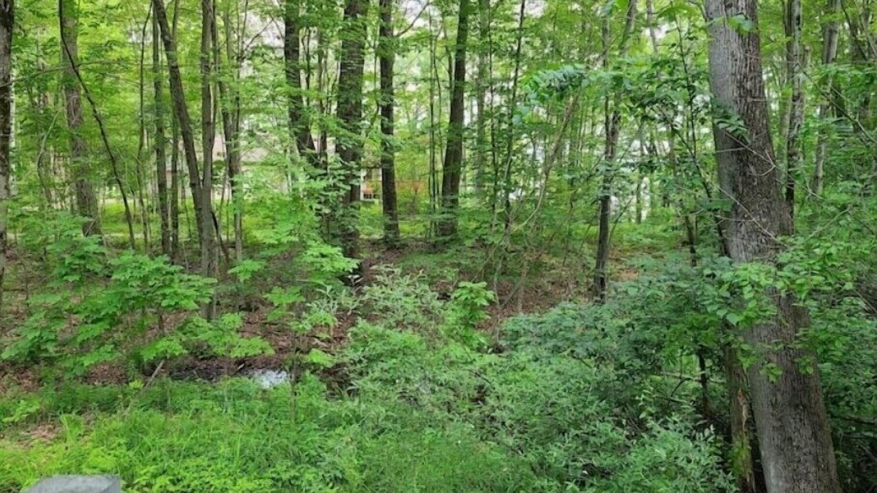 Photo of Outdoor in Evart