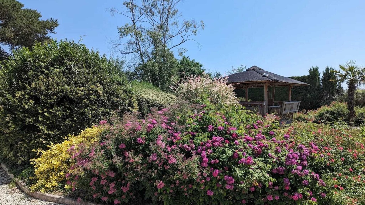 Photo of Outdoor in Saint-Georges-sur-Cher