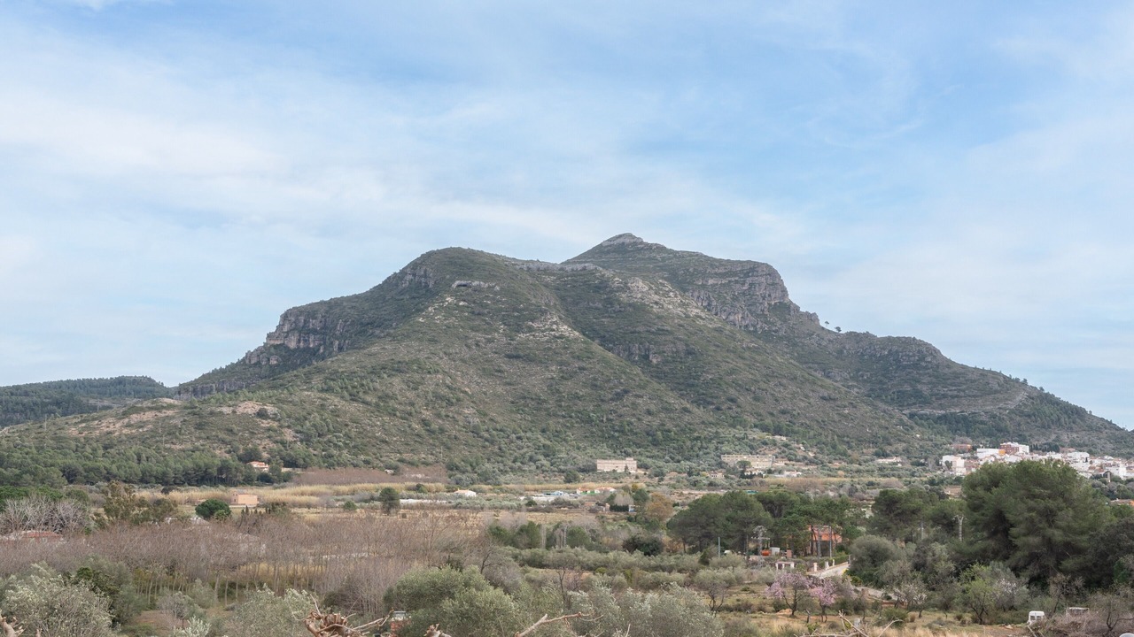 Photo of Others in Barx