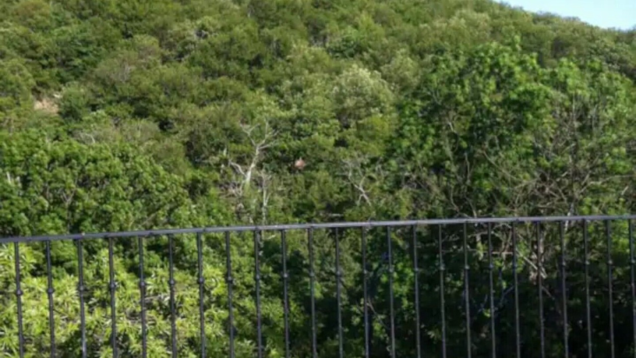 Photo of Outdoor in Sablieres
