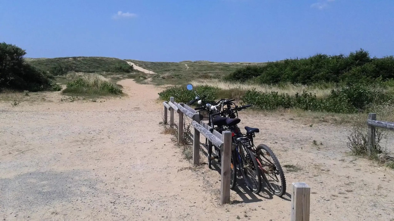Photo of Others in Saint-Gilles-Croix-de-Vie
