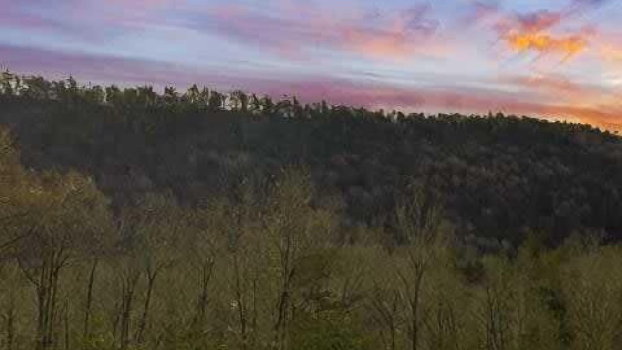 Photo of Outdoor in Wardensville