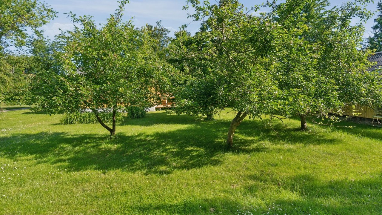 Photo of Others in Kaldred