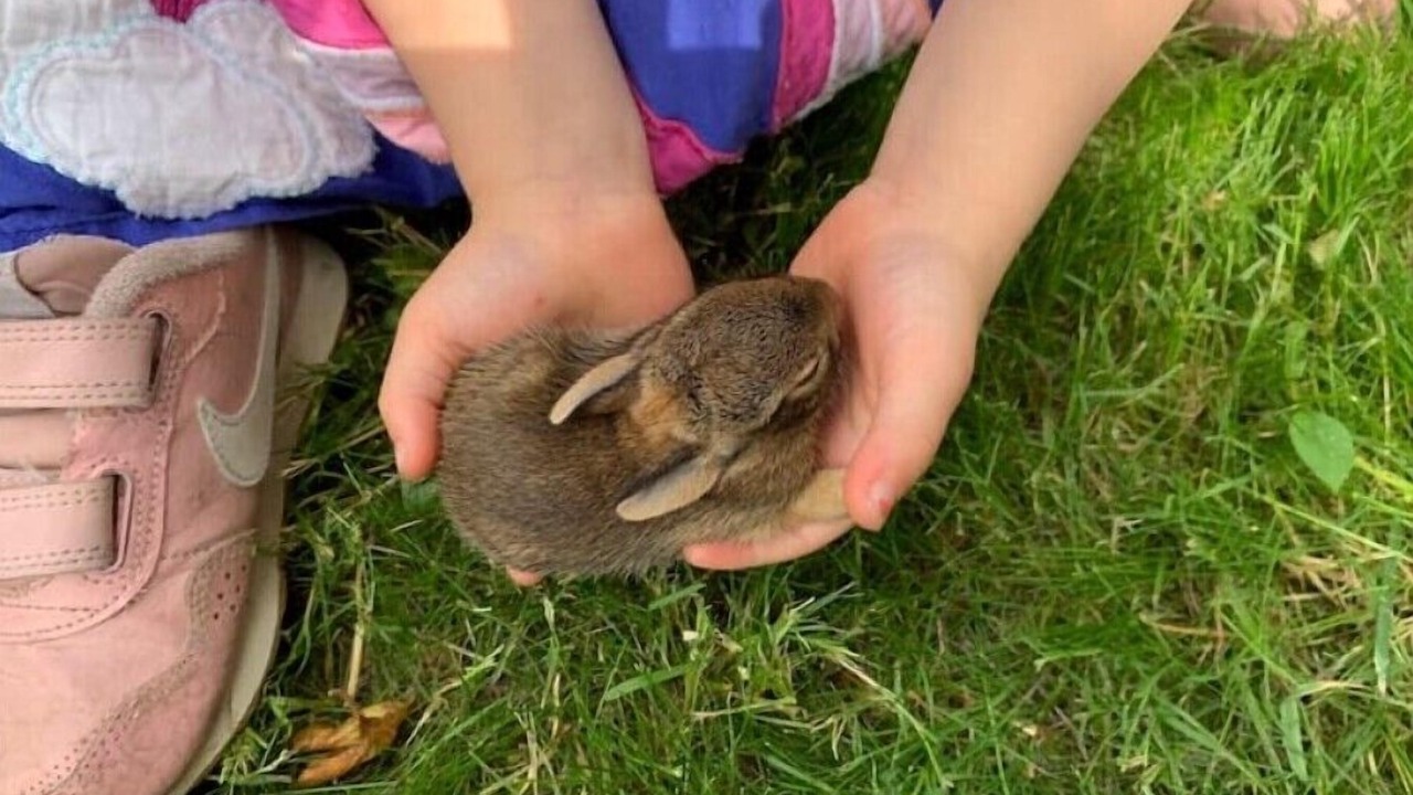 Photo of Others in Atlantic