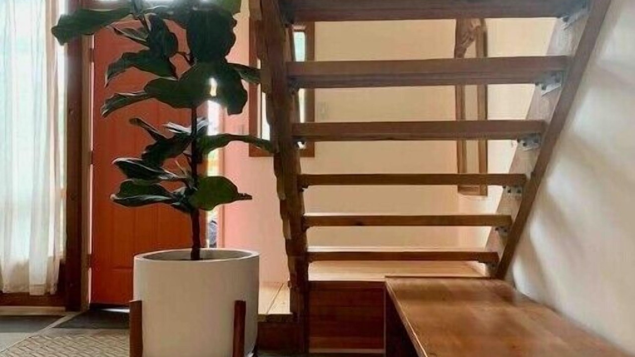 Photo of Others in Atlantic