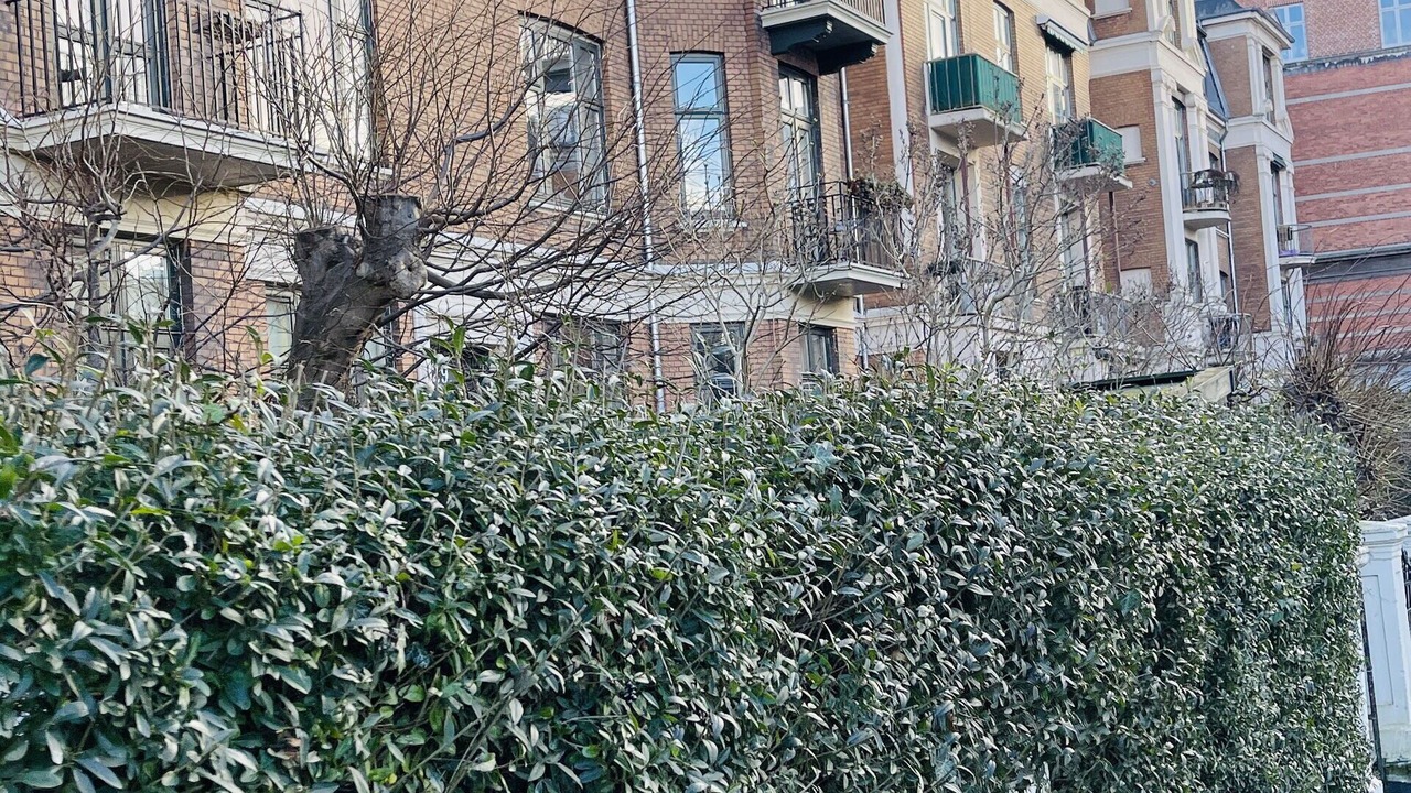 Photo of Outdoor in Frederiksberg C