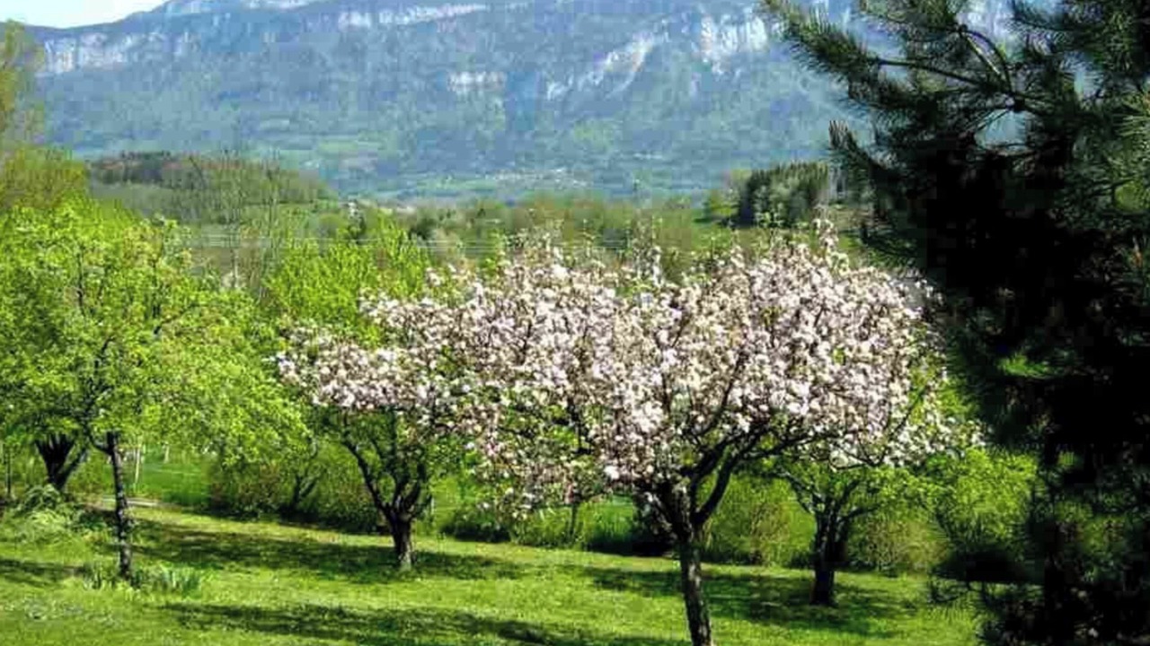 Photo of Others in Miribel-les-Echelles