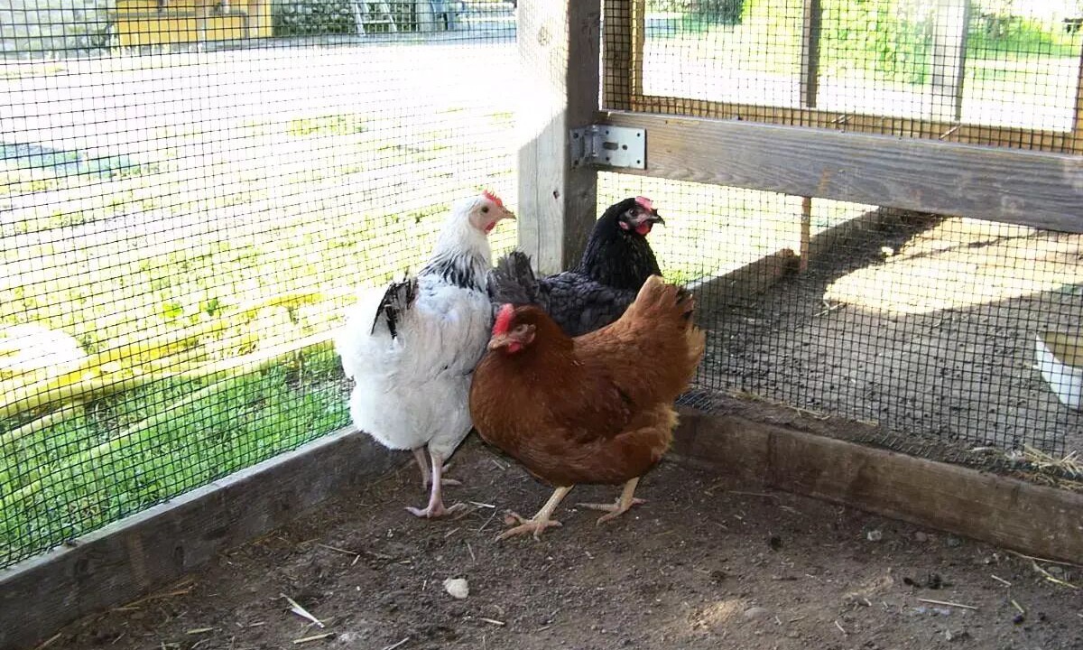 Photo of Others in Rosieres