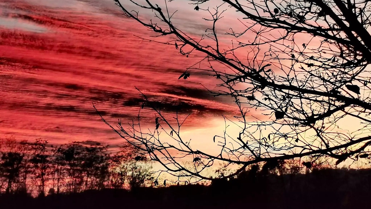 Photo of Others in Rosieres