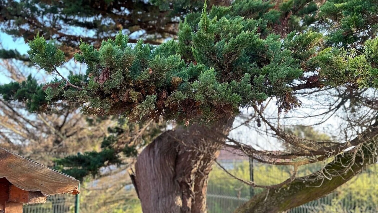 Photo of Outdoor in La Plaine-sur-Mer