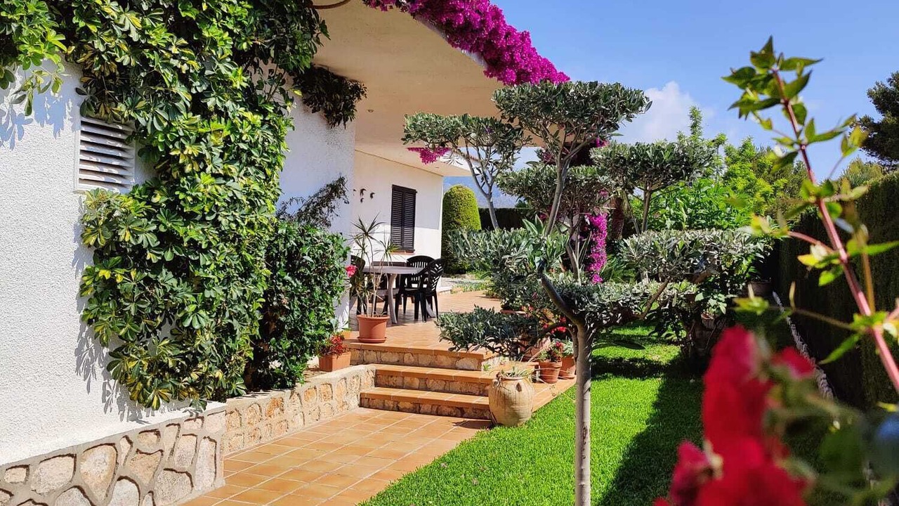 Photo of Outdoor in Calafat
